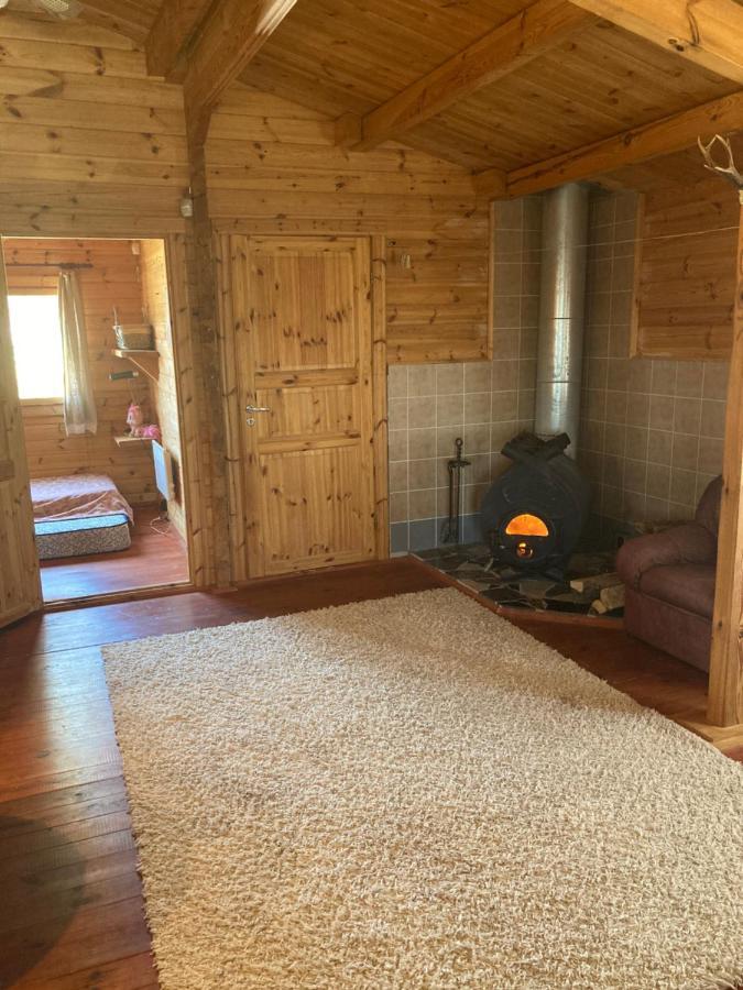 Pikkjaerve Puhkemaja Vila Tilsi Exterior foto